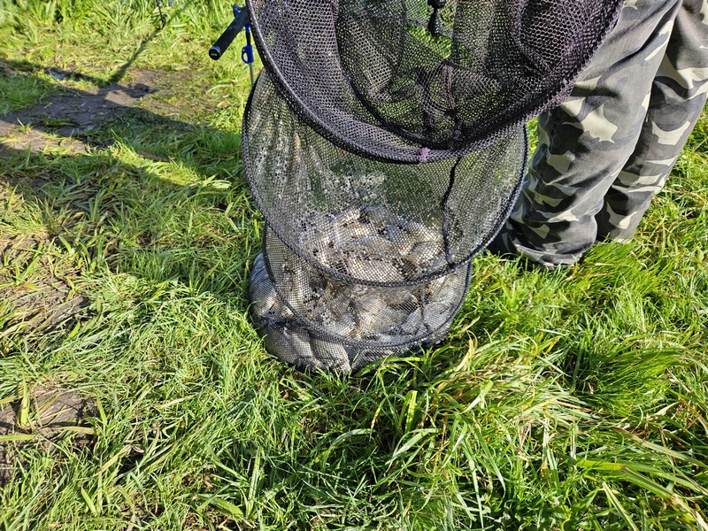 Kultura, Tradycja... i Placki! 2023